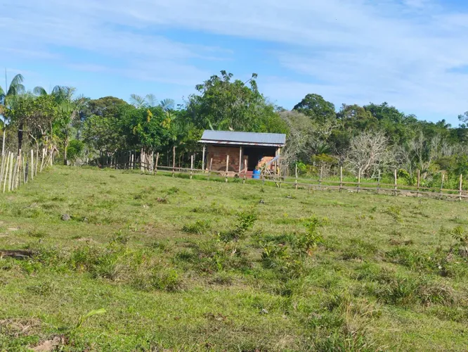 fazenda pronta para crianção de gado