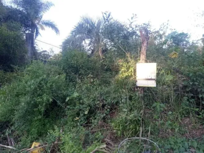 Terreno - Santa Maria RS