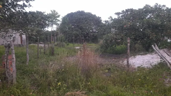 Terreno na Ilha