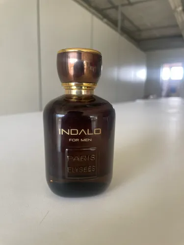 INDALO - PARIS ELYSEES 