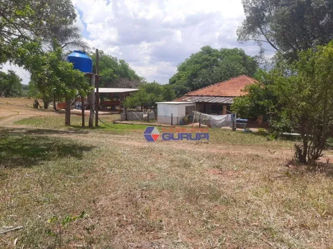 Sítio com 4 dormitórios à venda, 2,5 alqueires por R$ 995.000 - Zona Rural - Mirassol/SP
