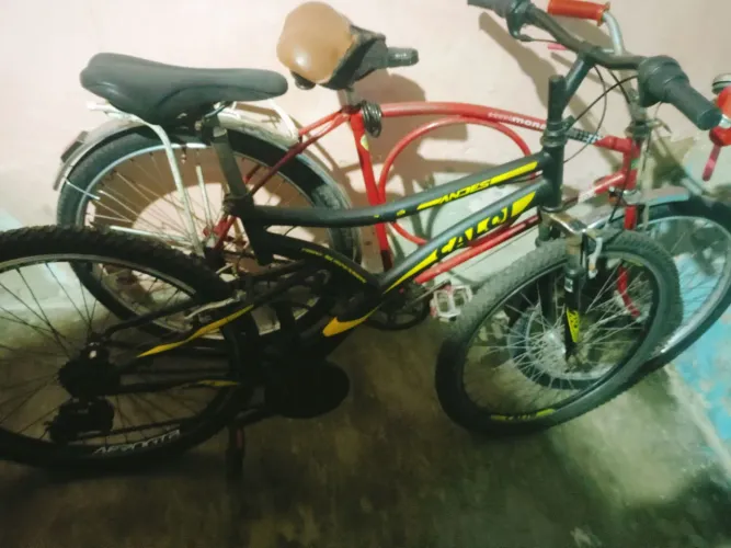 Bicicleta Caloi Andes aro 26