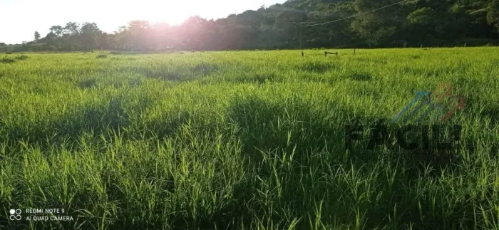Fazenda 43,7 Alq | Pasto Formado + Córrego | Estruturada | Barrolândia