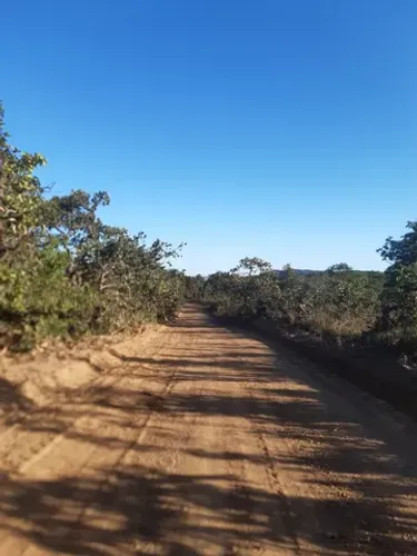 DUAS FAZENDAS A VENDA COM 12 E 32 ALQUEIRES