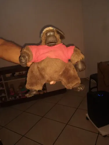 macaquinho asobia. Precisa de reparos