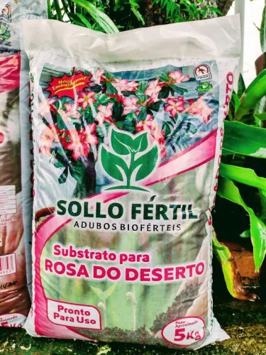 Substrato pra Rosas do deserto 