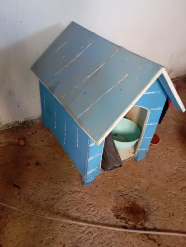 Casinha de cachorr