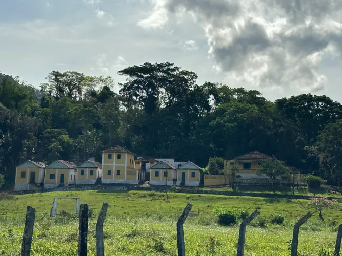Fazenda produtiva cacau  cabruca cenário de novela 