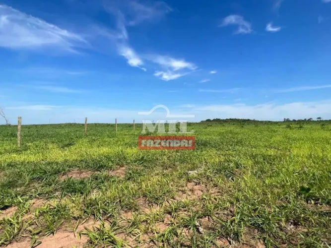Fazenda 105 alqueires ( 508 ,2 hectares ) Natividade - GO