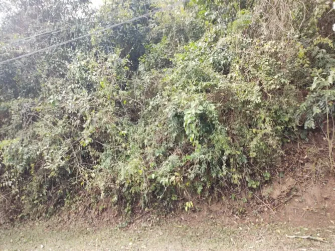 Terreno residencial à venda, Vila Verde, Itapevi.