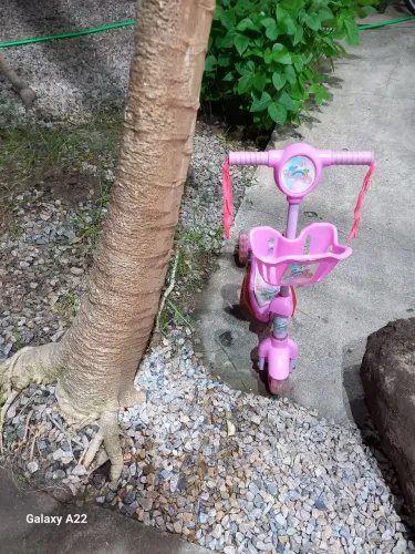 Patinete infantil negócio