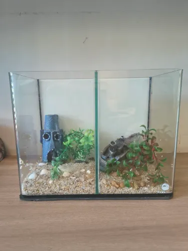 Aquário Kawafish com divisória para 2 peixes (bettas) + decoração