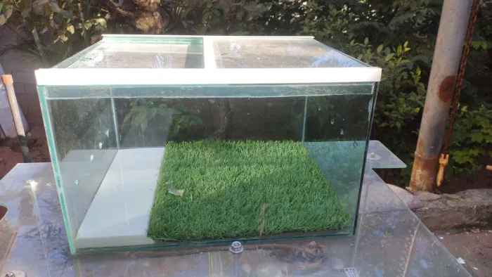 Terrário pequeno com mesa de vidro