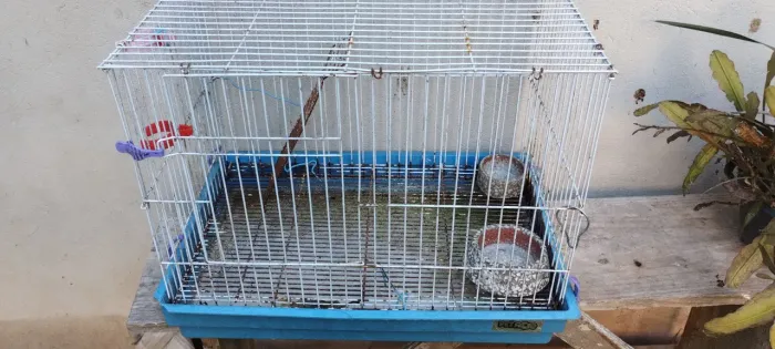 Gaiolas para doação 