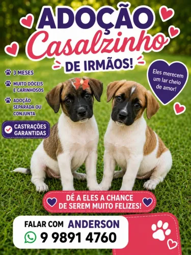 IRMÃOS FOFOS