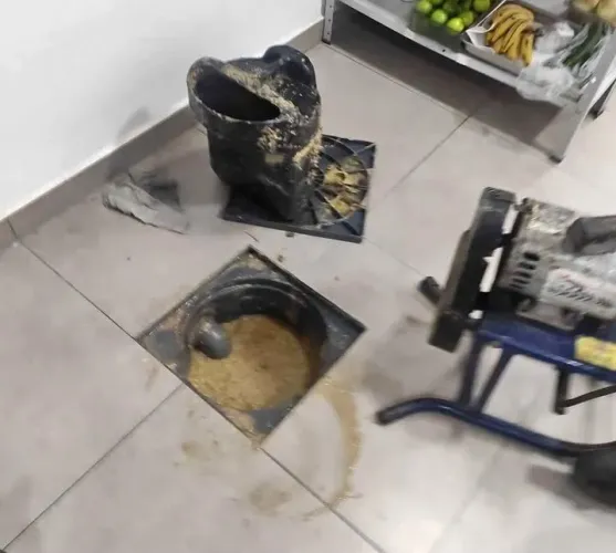 Limpeza _caixa gordura. caixa água. calhas reparos