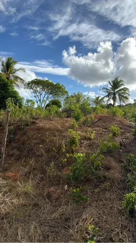 Vende -se lotes 7 x 21,5