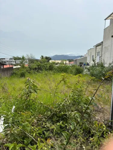 Terreno no Bairro Ribeirão frente para a principal rodovia