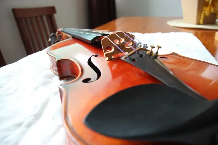 VIOLINO profissional de luthier 