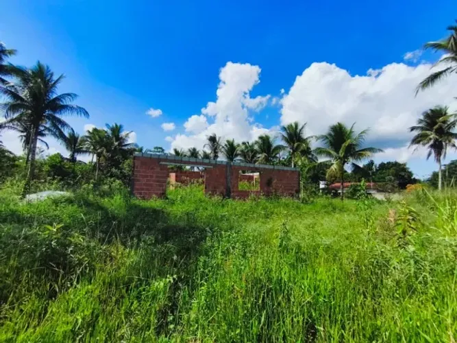 Terreno plano com 3 tarefas bem localizado em Amélia Rodrigues