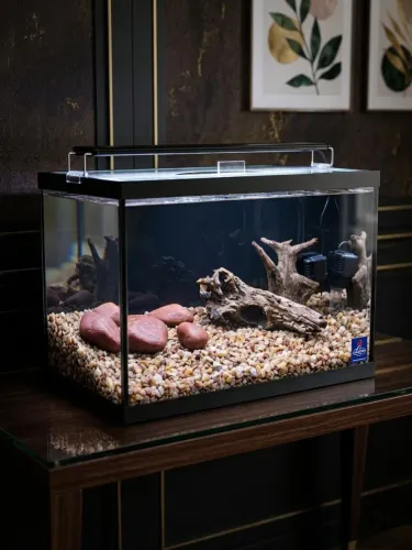 AQUÁRIO COMPLETO 43,7 LITROS 50X25X35 4MM (NOVO SEM USO)