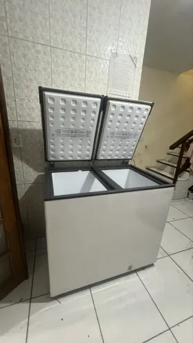 Freezer 300L Esmaltec