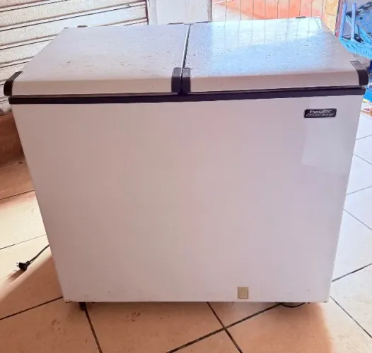 Freezer esmaltec 303L