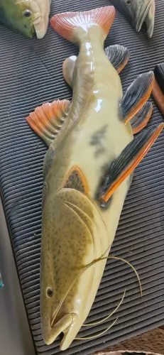 Peixe pirarara Replica realista 1m