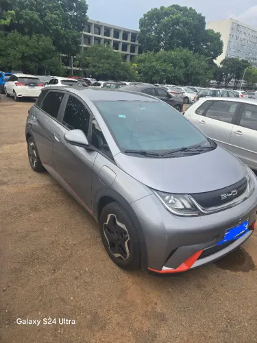 BYD Dolphin EV (Elétrico) 2024