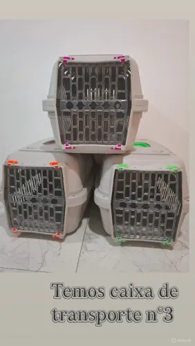 CAIXA DE TRANSPORTE PARA PET