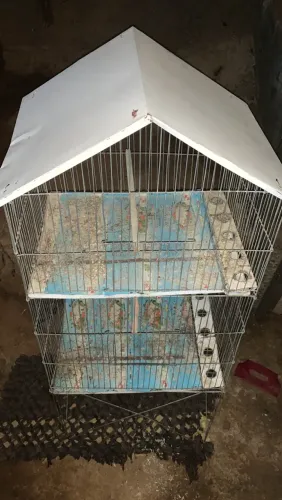 Viveiro para aves