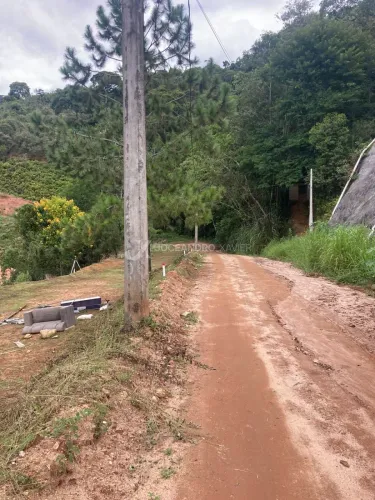 Domingo Martins - terrenos urbanos - Centro