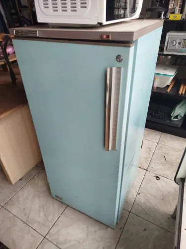 Freezer vertical vintage 