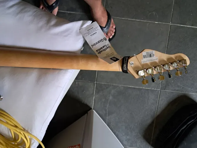 Vendo guitarra Giannini nova