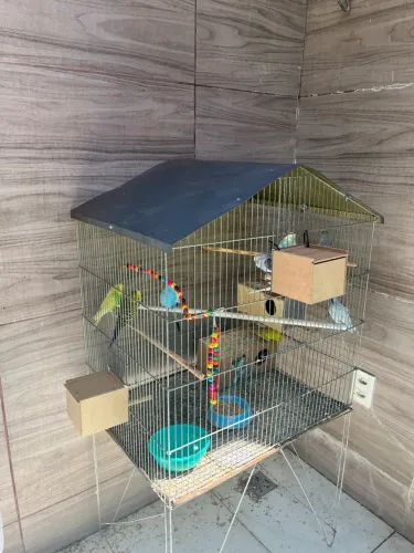 Gaiolas