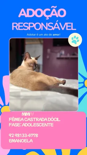 Adoção responsável.