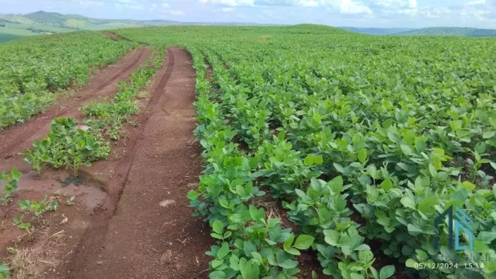 Fazenda com 57 alqueires (plantando 46) Solo roxo alta fertilidade, Engenheiro Beltrão PR