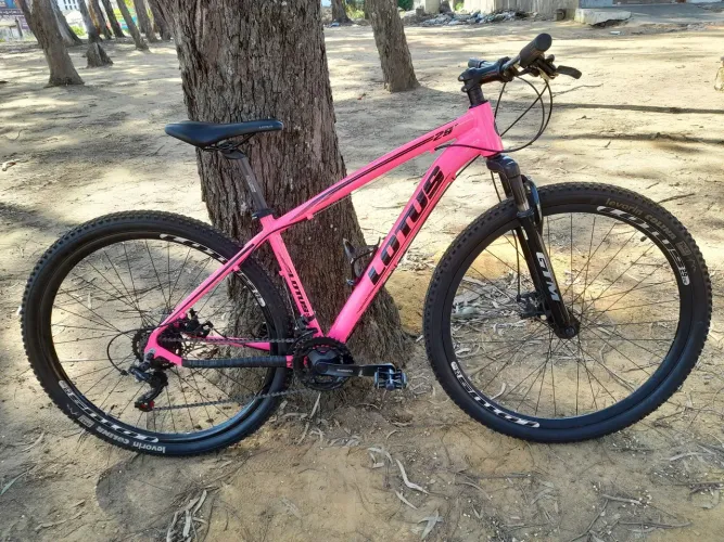 Bicicleta Lotus Aro 29