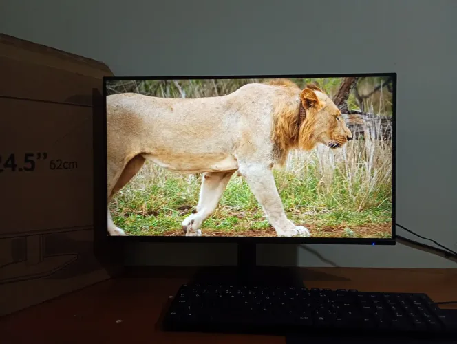 Monitor Acer EK251Q Gbi 24,5" IPS Full HD 120Hz - Excelente estado