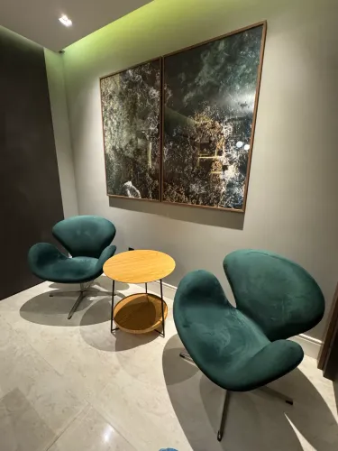 Par de Poltronas Swan Giratórias