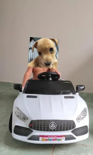 Carrinho Mercedes