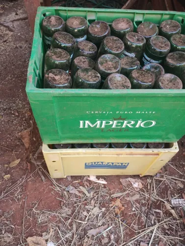 Engradado