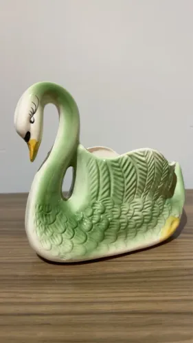 cisne 