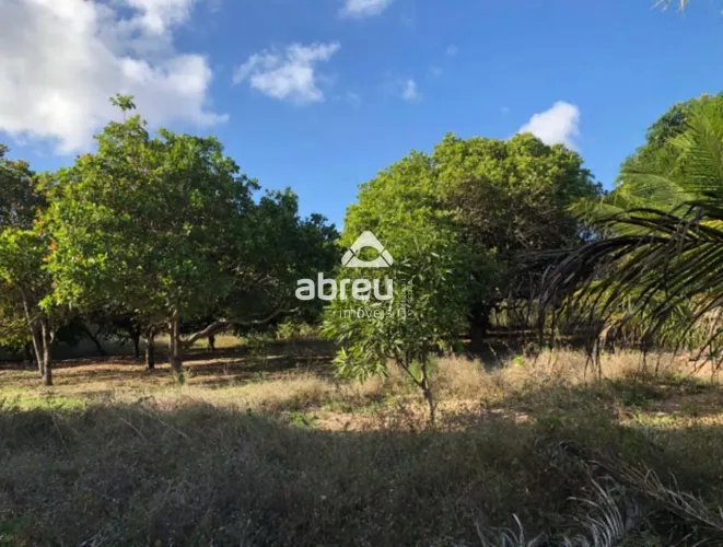 Sítio em São Gonçalo Do Amarante