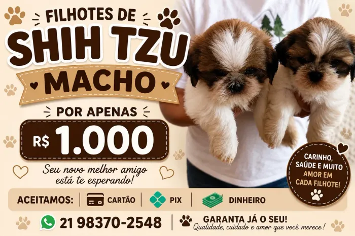 Filhos de shih tzu