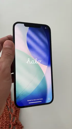 iPhone 12 Pro Max 256gb