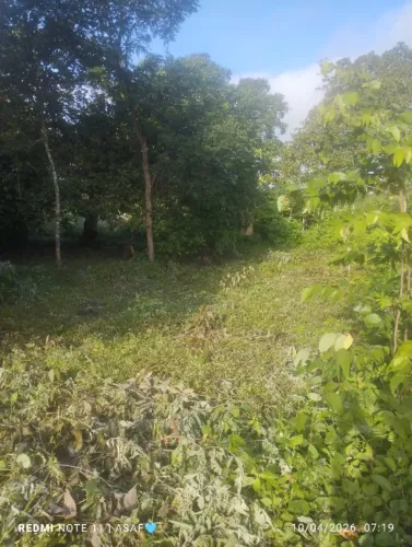 Vendo Terreno para sítio, 20x50 localizado no Rosário municipal de Caraúbas do Piauí 