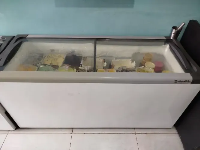 Freezer industrial