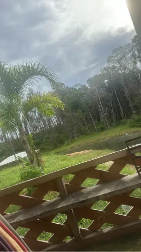 ? Chácara 50.000m² com Igarapé e Nascente - Aceito Carro/Casa