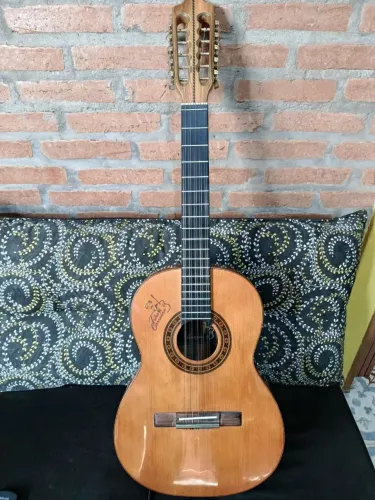 Viola Caipira 